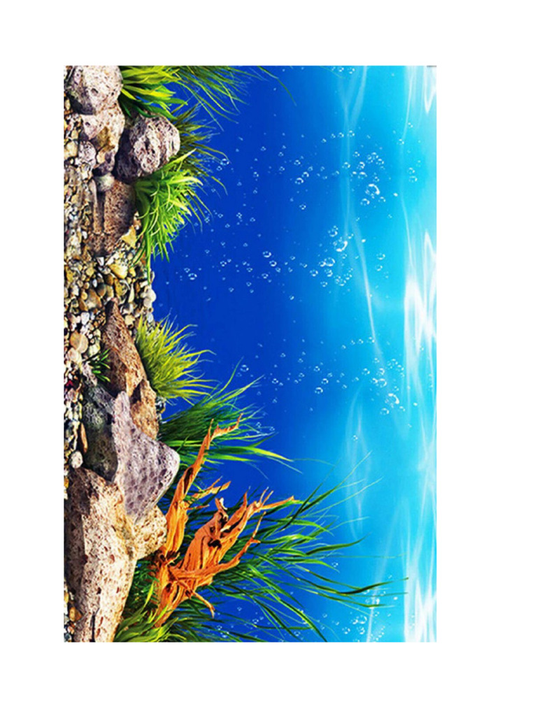 Aquarium | PDF