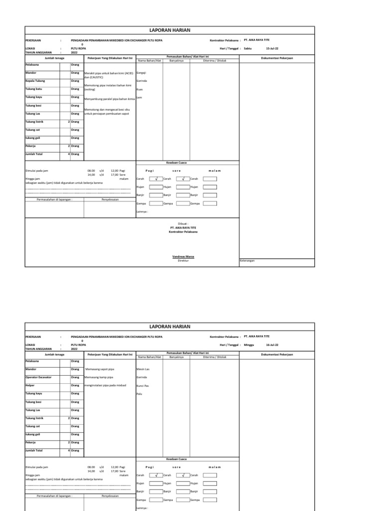 Laporan Harian Pengadaan PLTU Ropa | PDF