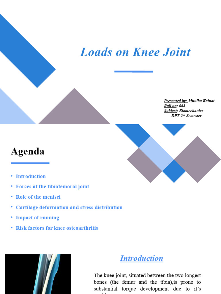Knee Joint Loads and Biomechanics Insights | PDF | Knee | Lower Limb ...