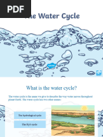 Understanding the Water Cycle Steps | PDF