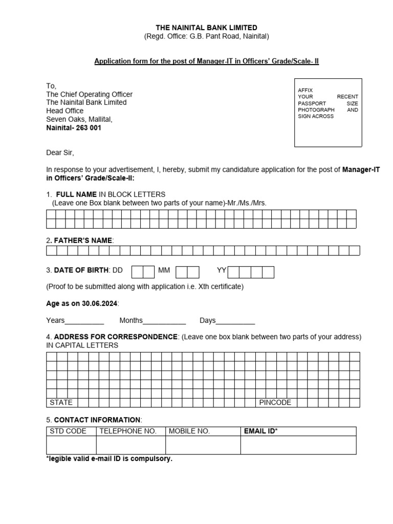 Application Form Manager-IT | PDF | Business | Finance & Money Management