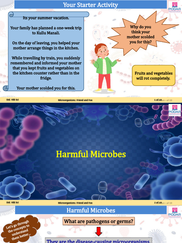 Understanding Microorganisms: Friends & Foes | PDF | Microorganism ...