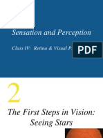 Sensation and Perception: Class IV: Retina & Visual Processing