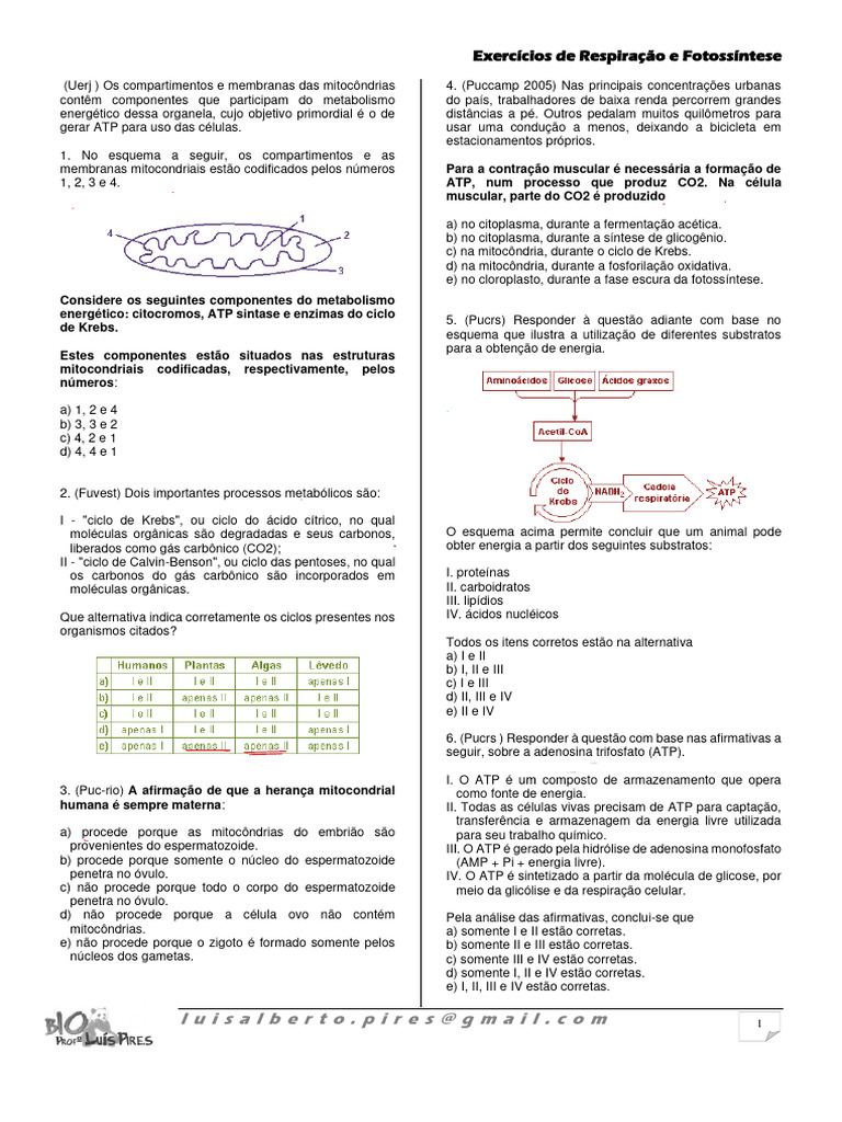 Bioquimica - Glicidios | PDF | Carboidratos | Vitamina, image size:768x1024