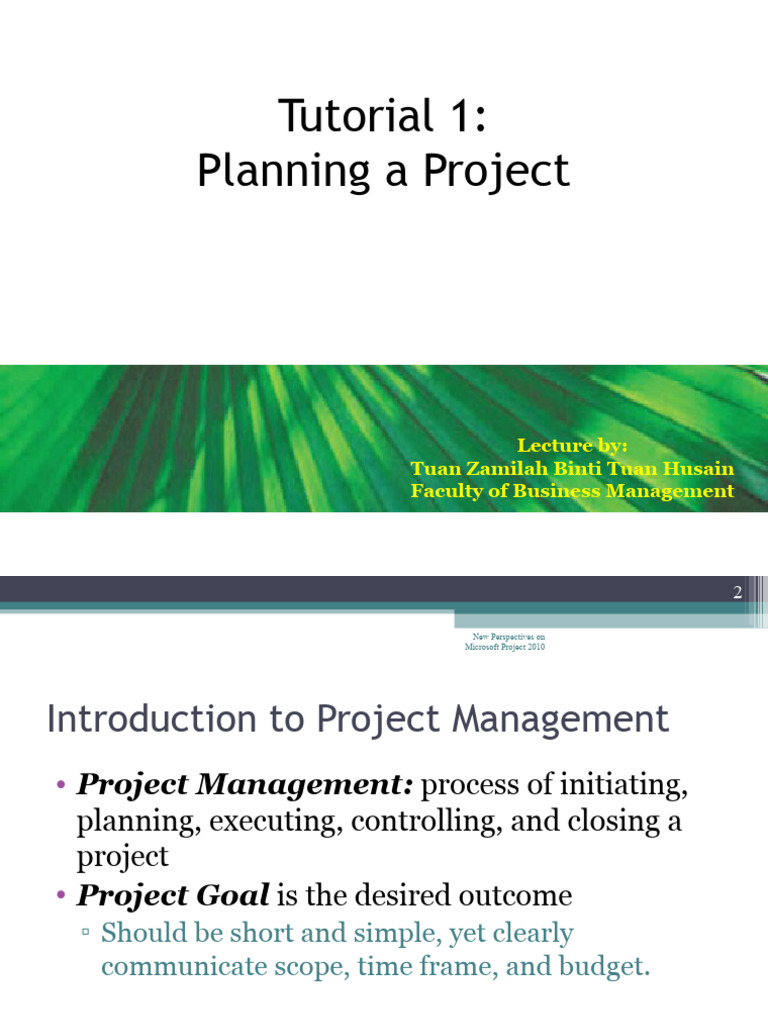 Project Management Basics with MS Project | PDF | Project Management ...