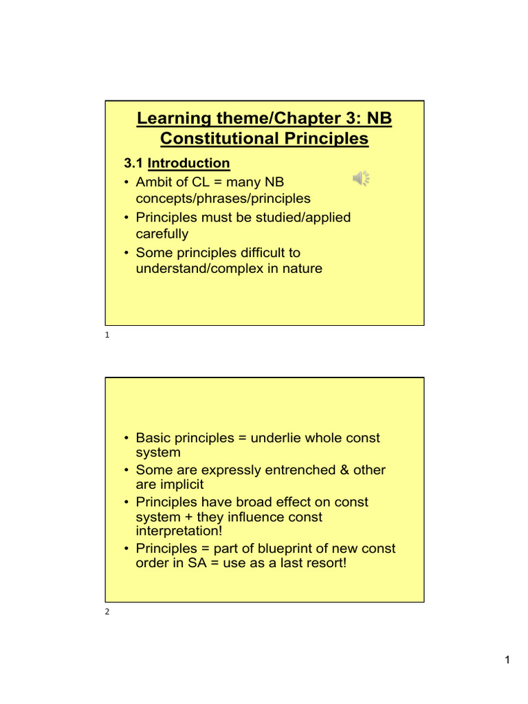 Constitutional Principles in South Africa | PDF | Separation Of Powers ...