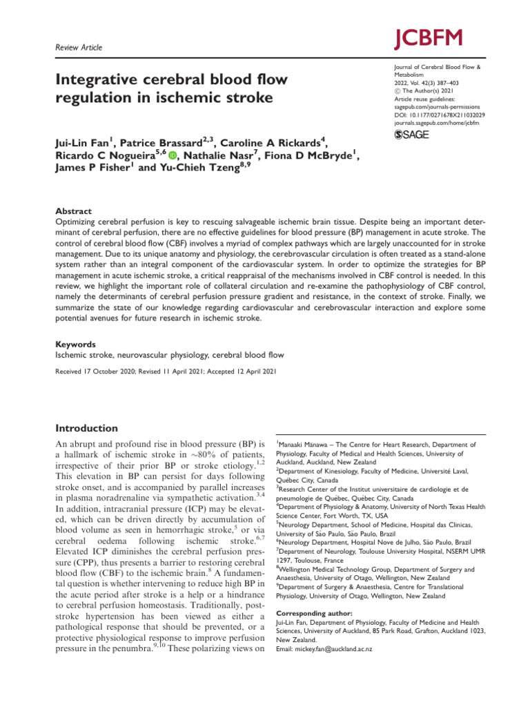 Integrative Cerebral Blood Flow Regulation in Ischemic Stroke | PDF ...
