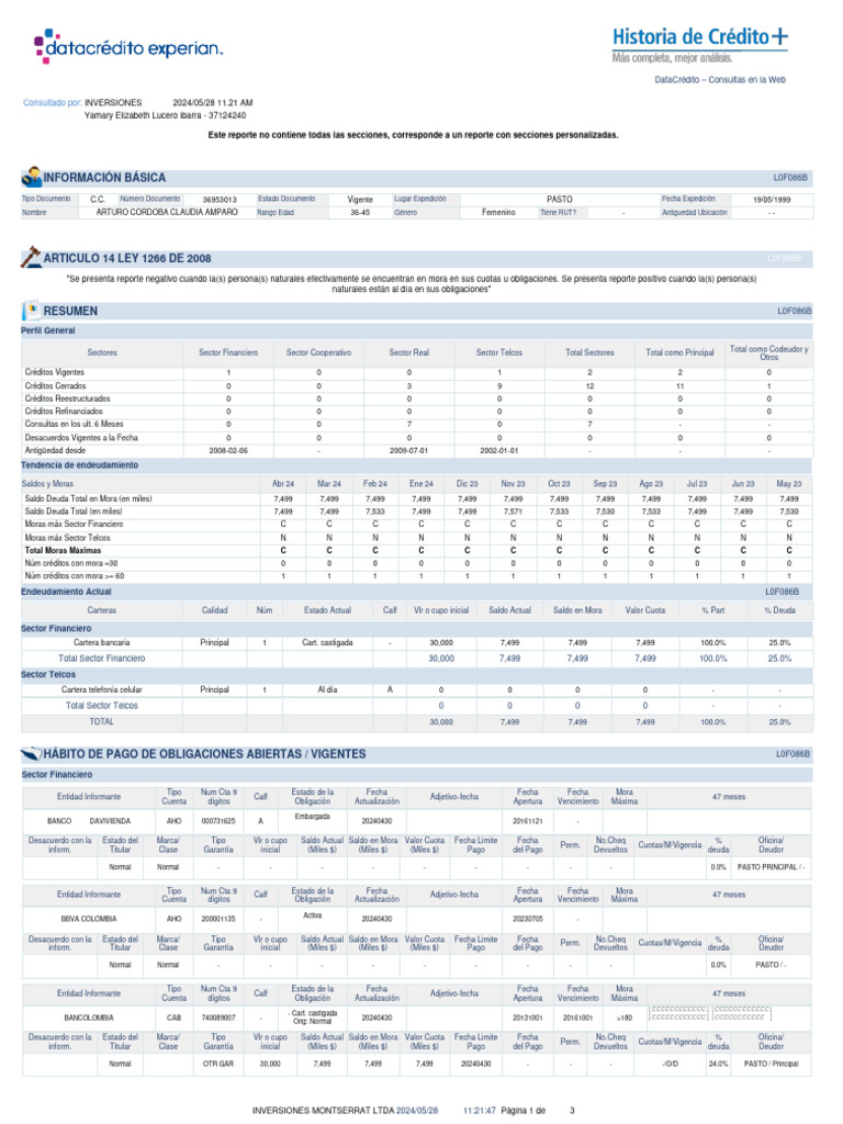 Informe de Consultas de Crédito 2024 | PDF | Sector privado | Finanzas ...