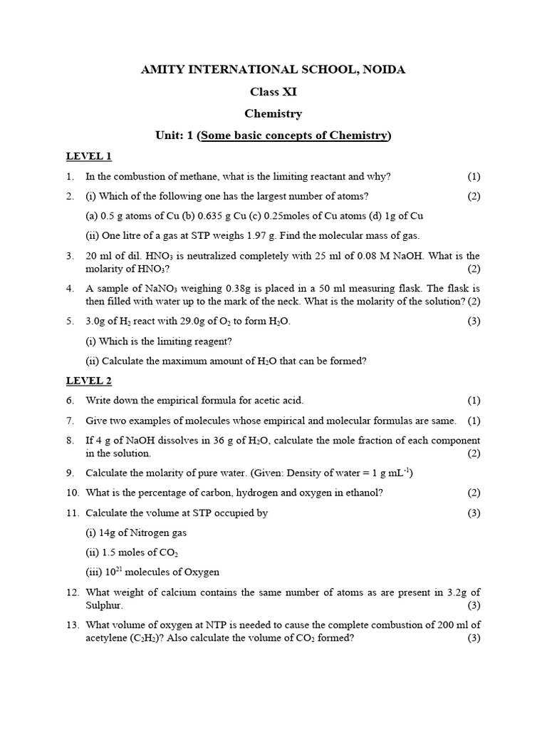 Amity International School PDF Chemistry Chemical Substances