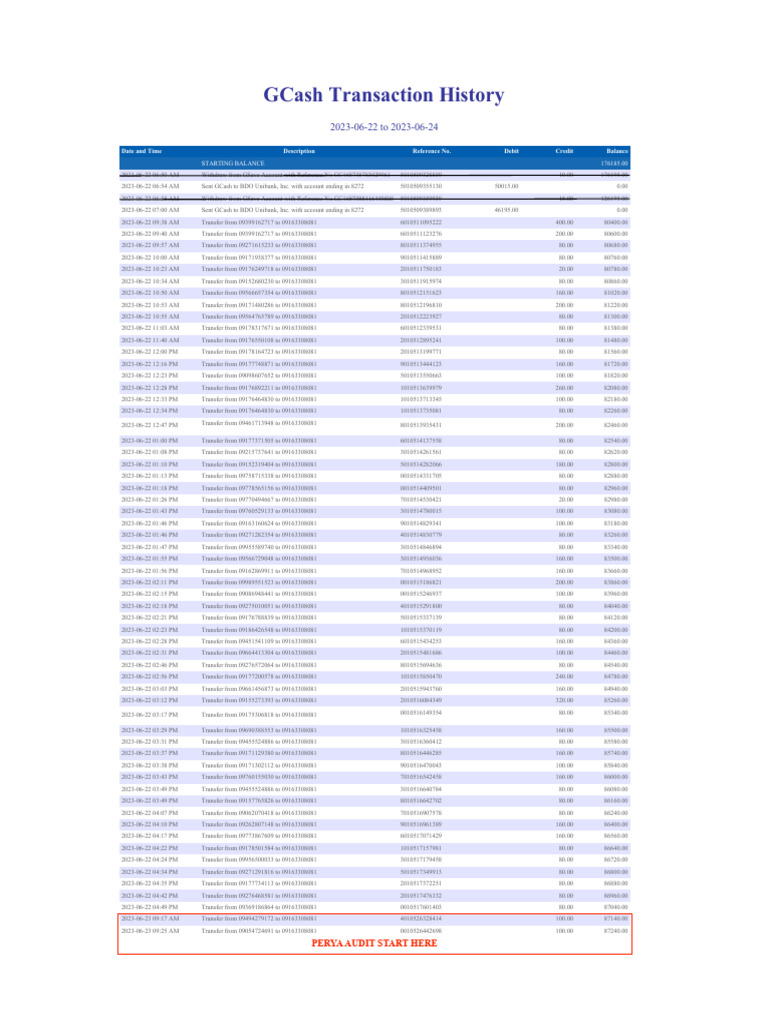 GCash Transaction History Overview | PDF | Debits And Credits | Money