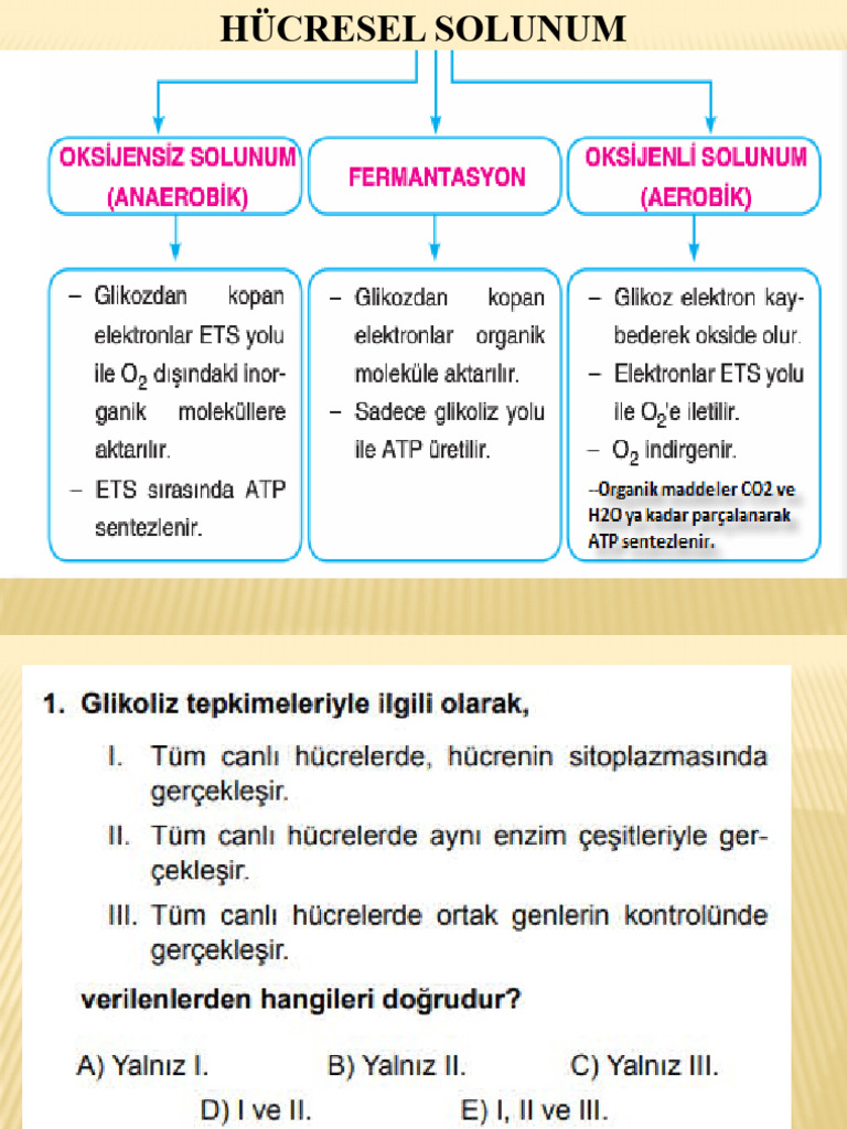 oksi-jensi-z-solunum-pdf