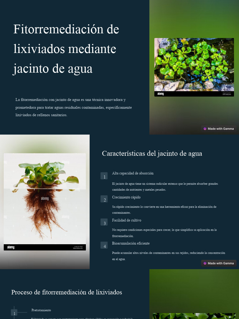 Fitorremediacion De Lixiviados Mediante Jacinto De Agua Pdf Agua