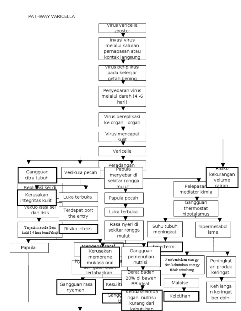 Pathway | PDF