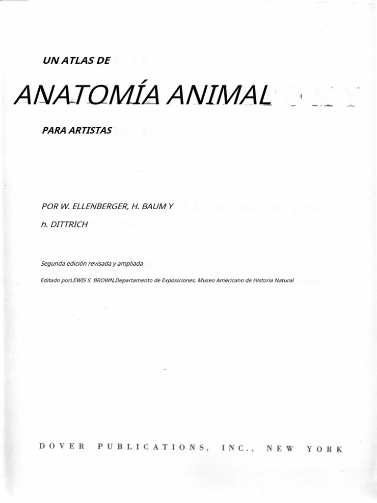 Anatomia Animal Pdf Vértebra Articulación