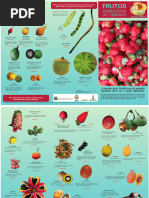 Lista de Frutas Brasileiras | PDF | Árvores | Fruta