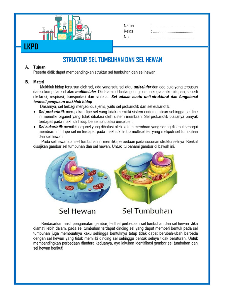 Struktur Sel Tumbuhan & Hewan | PDF