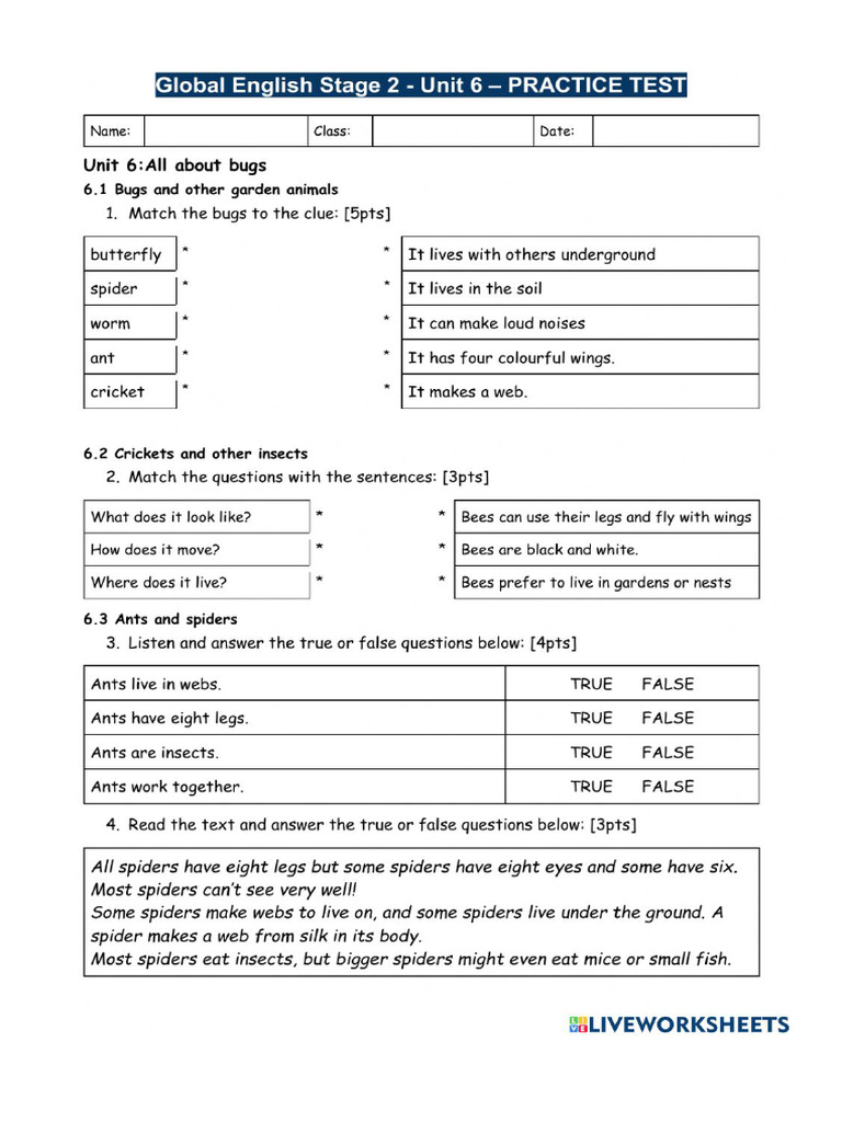 Practise Test Unit 6 | PDF