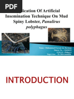 Yetuk rus ayoli pul evaziga minatka berdi.