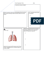 Respiration Video Worksheet