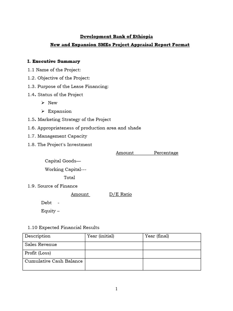 SME Project Appraisal Report Format | PDF | Financial Capital ...