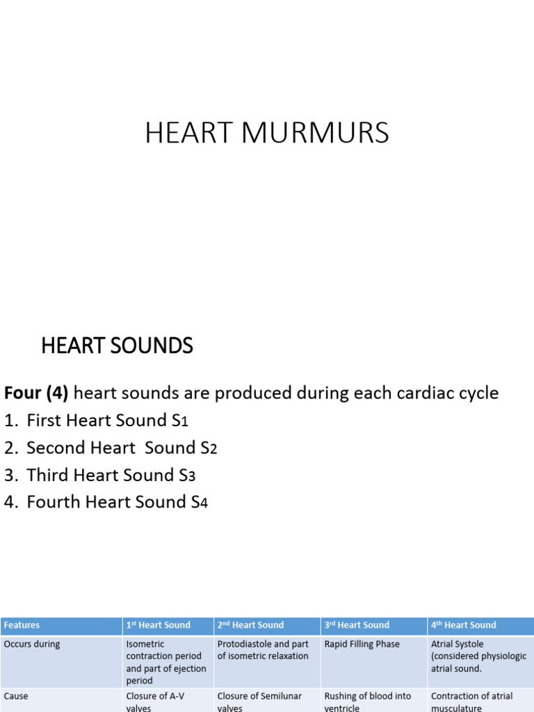 Heart Murmurs 1 1 Pdf Heart Heart Valve