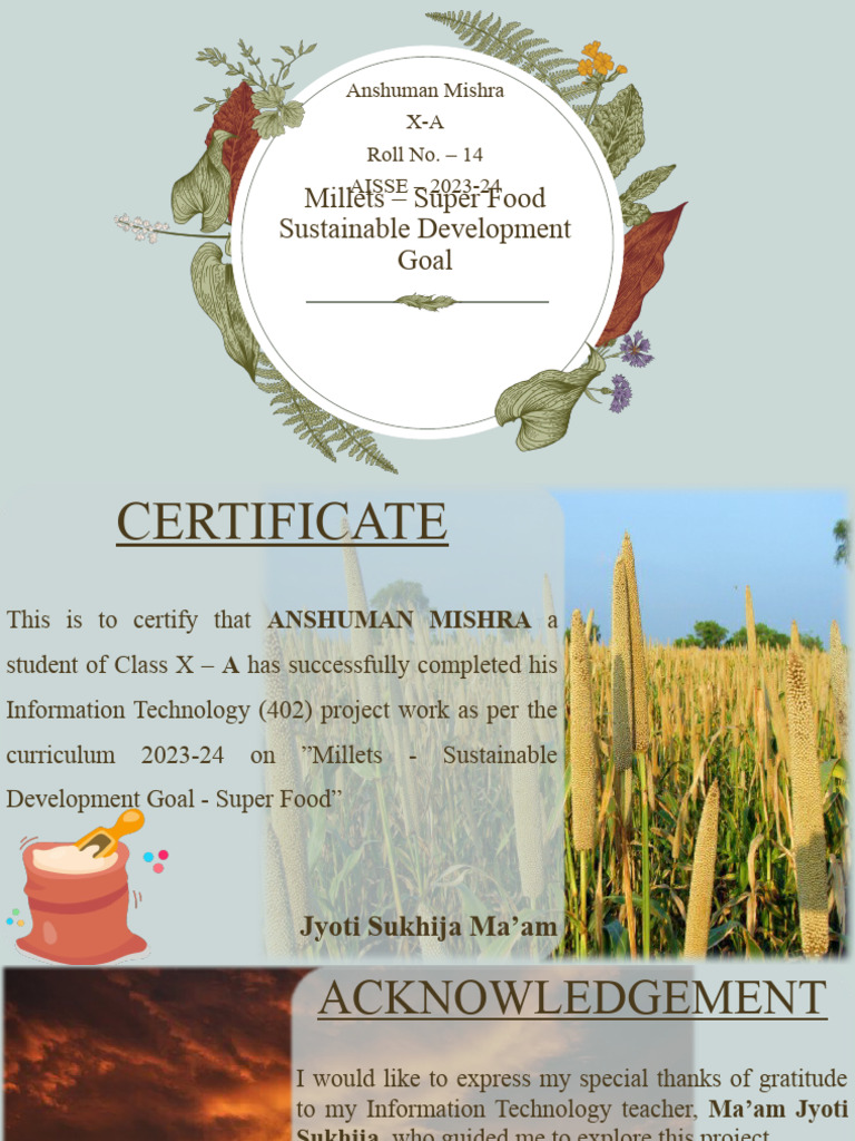 Millets - Super Food | PDF | Sustainability | Cereals