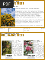 Philippine Trees 101: Trees With Description PDF | PDF | Plants | Trees