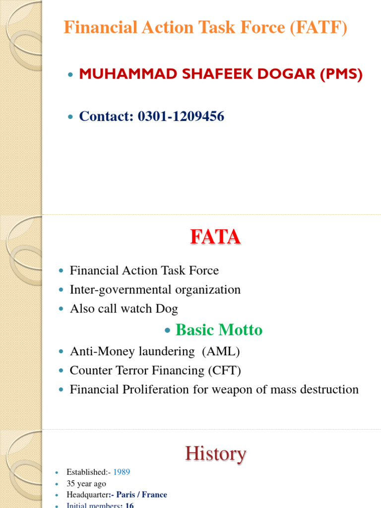 Financial Action Task Force Fatf Pdf International Relations