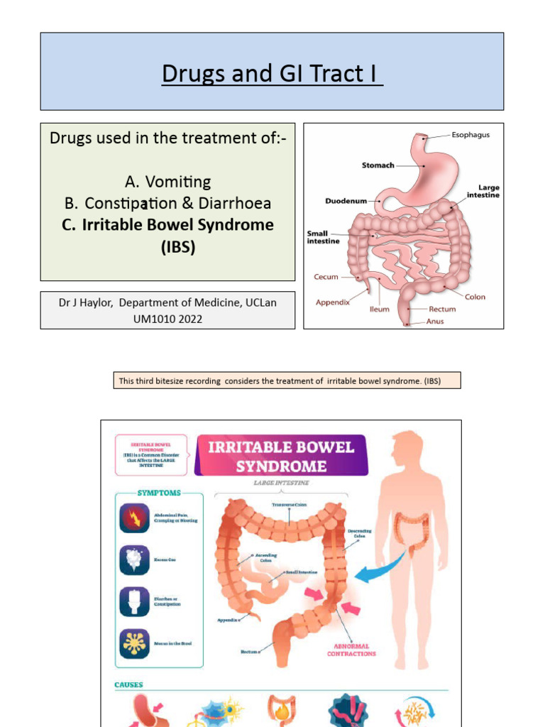 IBS Treatment: Antispasmodics & More | PDF | Irritable Bowel Syndrome ...