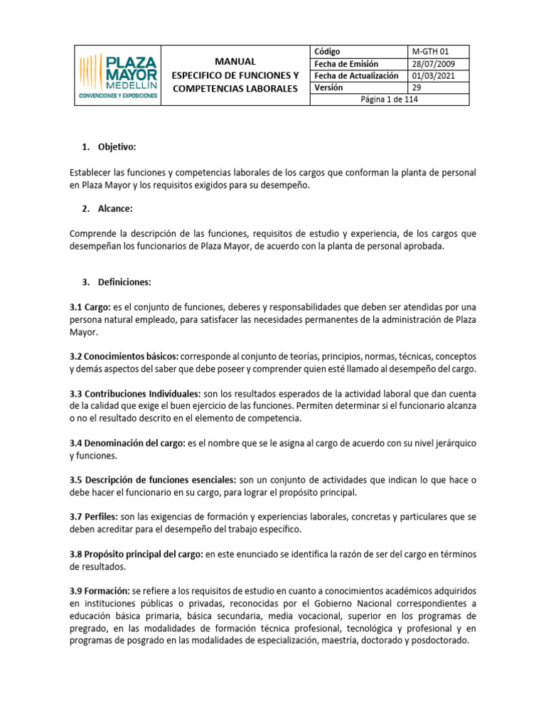 M GTH 01 Manual de Funciones | PDF | Auditoría | Planificación