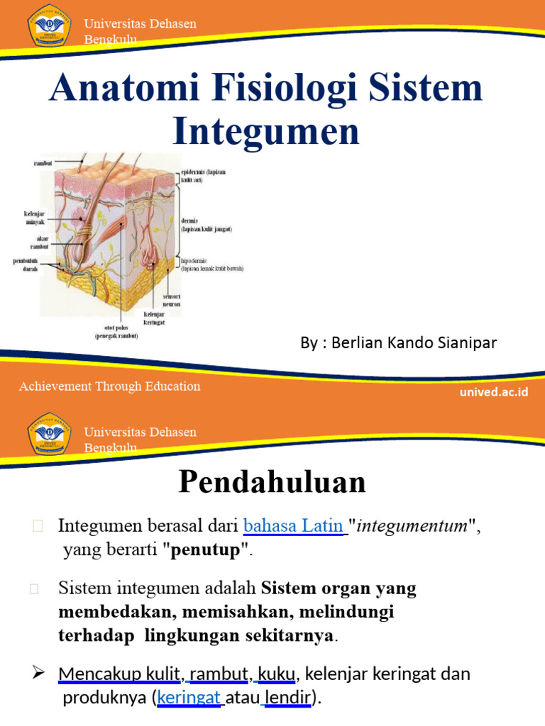 Struktur dan Fungsi Sistem Integumen | PDF | Sains & Matematika