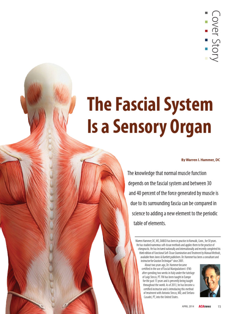 The Fascial System Is A Sensory Organ - Graston Technique (PDFDrive ...