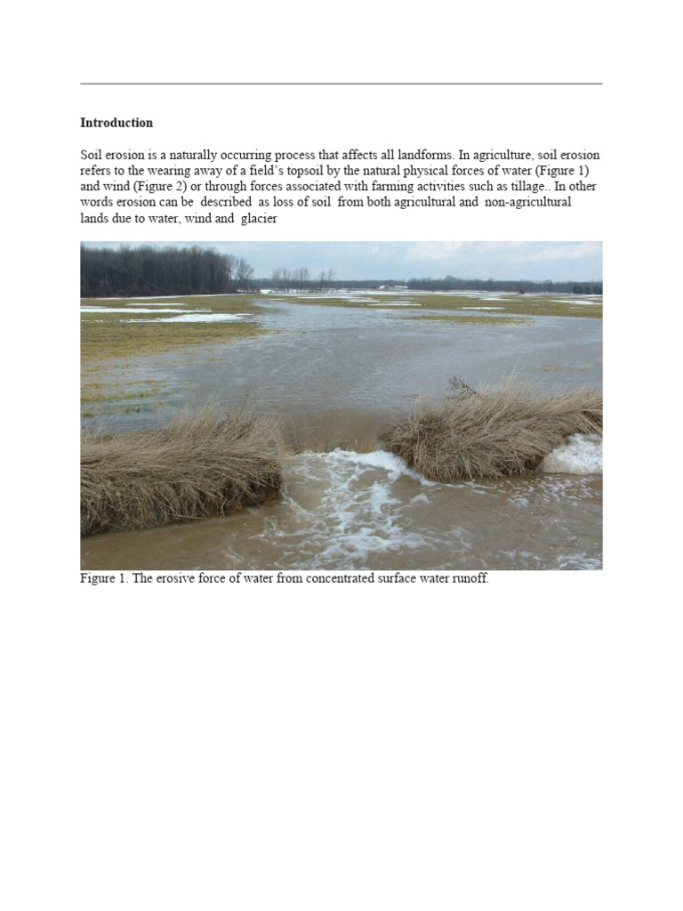 Soil Erosion Introduction 2 | PDF | Erosion | Surface Runoff