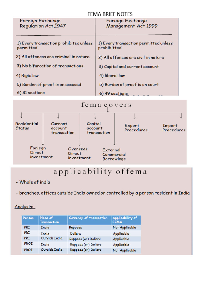 FEMA Notes | PDF