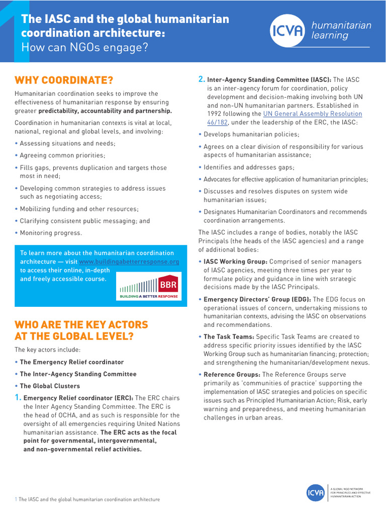 IASC Humanitarian Coordination Overview | PDF | Humanitarian Aid | Non ...