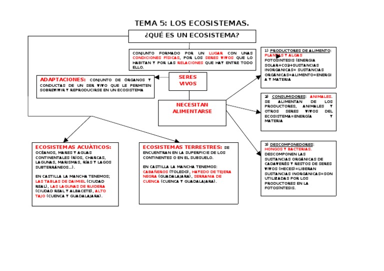 Mapa Conceptual de Ecosistemas | PDF