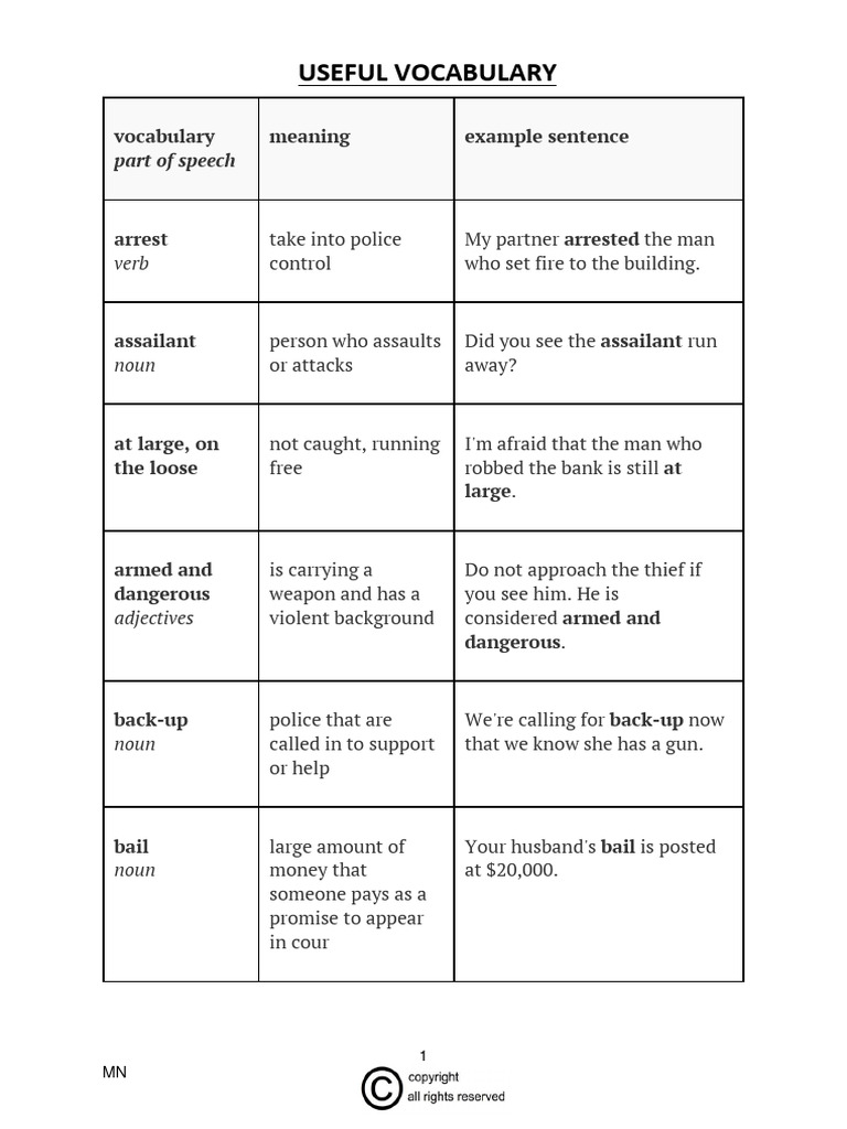 Police Vocabulary and Terminology Guide | PDF | Driving Under The ...