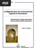 Physionomie et enjeux des trafics dans la bande sahélo-saharienne