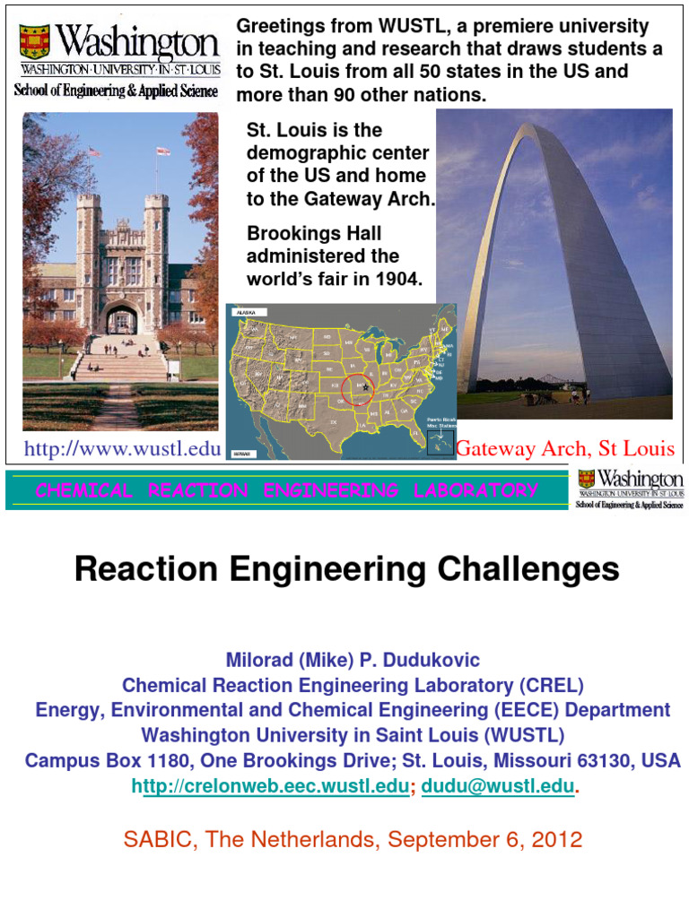 Chemical Reaction Engineering Insights | PDF | Chemical Reactor | Catalysis