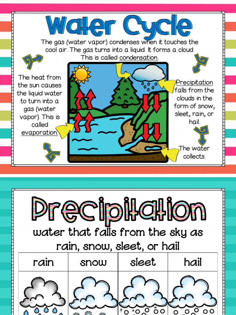 Understanding the Water Cycle | PDF | Water Cycle | Evaporation
