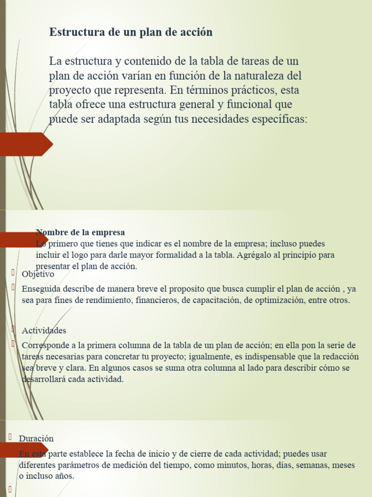 Estructura de Un Plan de Acción | PDF