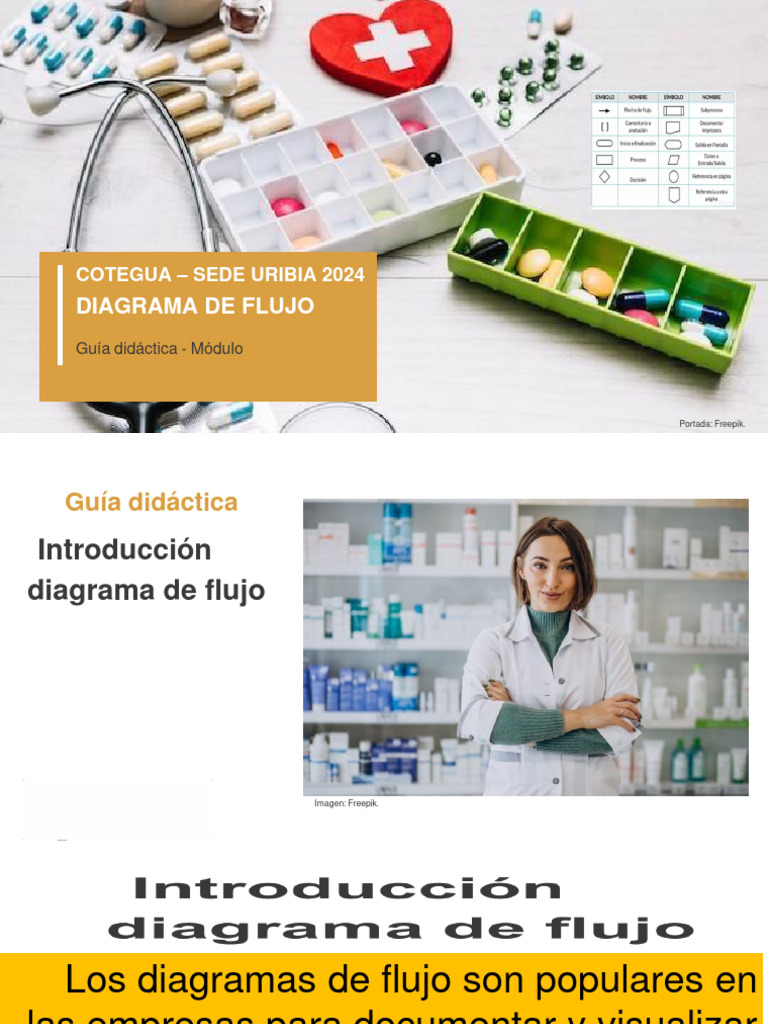 Flujograma Pdf Farmacia Farmacéutico