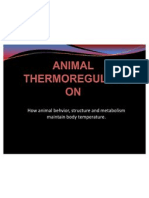 Animal Thermoregulation