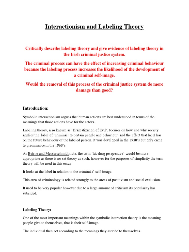 Interactionism and Labeling Theory in Ireland | PDF | Deviance ...