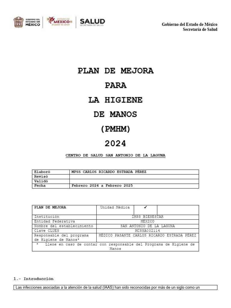 Mejora de la Higiene de Manos 2024 | PDF | Lavado de manos | Higiene