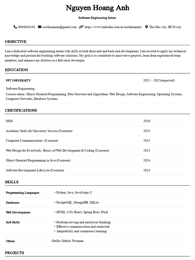 Software Engineering Intern Profile | PDF | Web Development | Computer ...