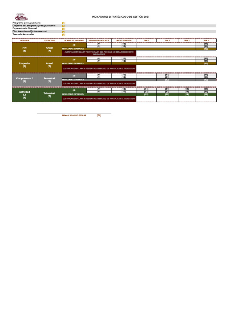 Formato Interno Indicadores MIR 2021 | PDF