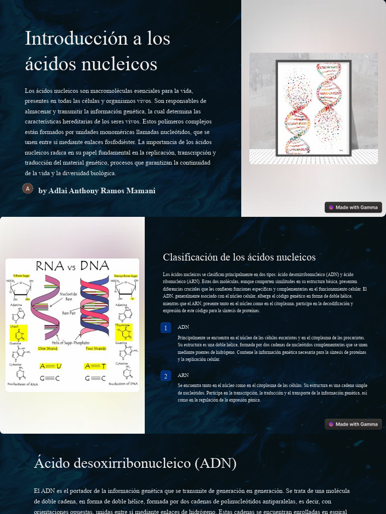 Introduccion A Los Acidos Nucleicos | PDF | Rna | Adn