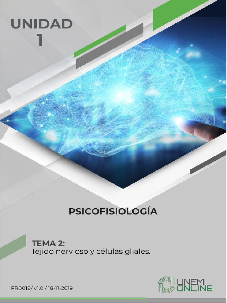 Tejido Nervioso y Células Gliales | PDF | Sinapsis | Neurona