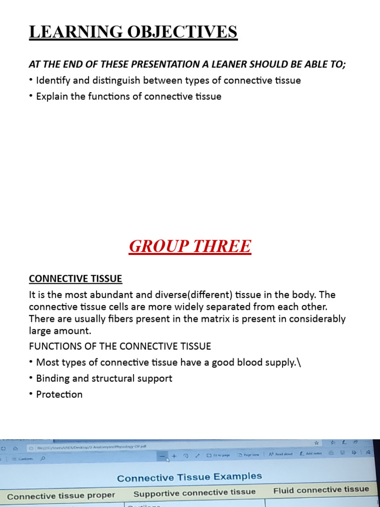 Connective Tissue Pdf Connective Tissue Bone